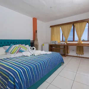 Pensión Tongo Reef